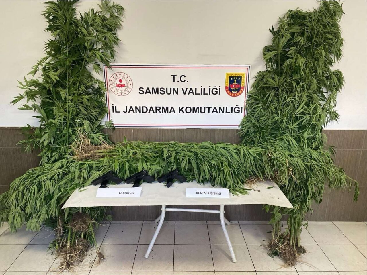 Samsun’da jandarma ekipleri tarafından düzenlenen üç ayrı silah ve uyuşturucu