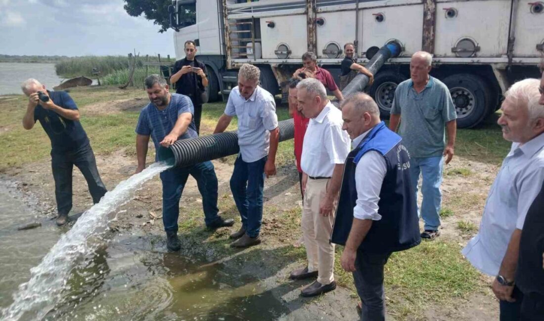 Samsun Tarım ve Orman İl Müdürlüğü tarafından 2 milyon 341