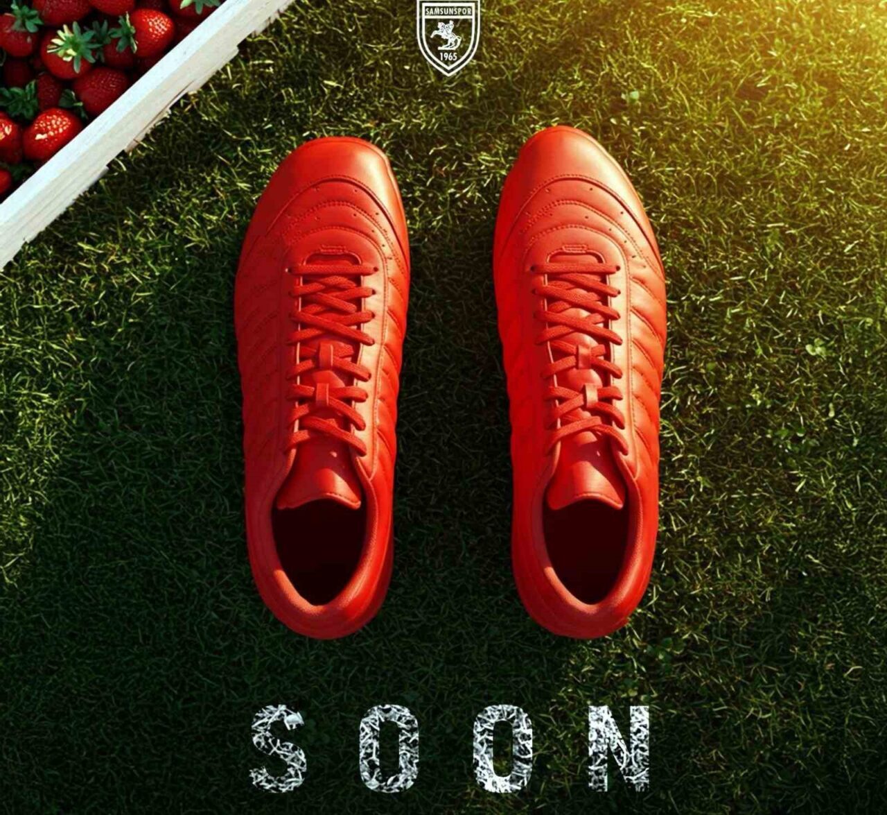 SAMSUN (İHA) – Samsunspor, Polonyalı kaleci Albert Posiadala ile 1