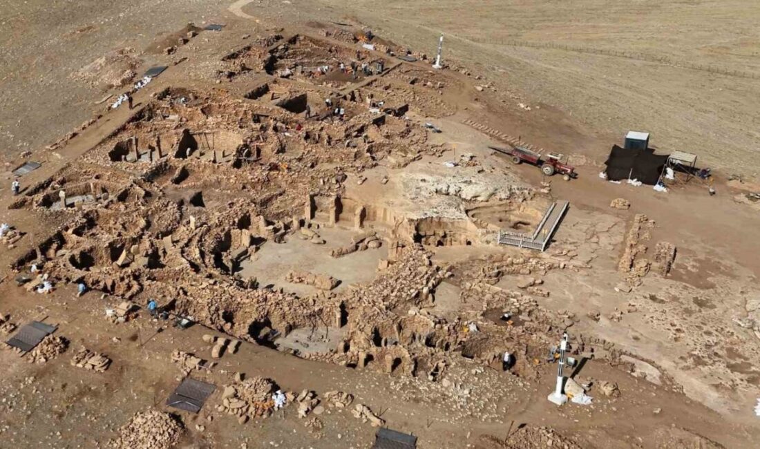 Şanlıurfa Valisi Hasan Şıldak, Kültür ve Turizm Bakanlığı, Sanayi ve