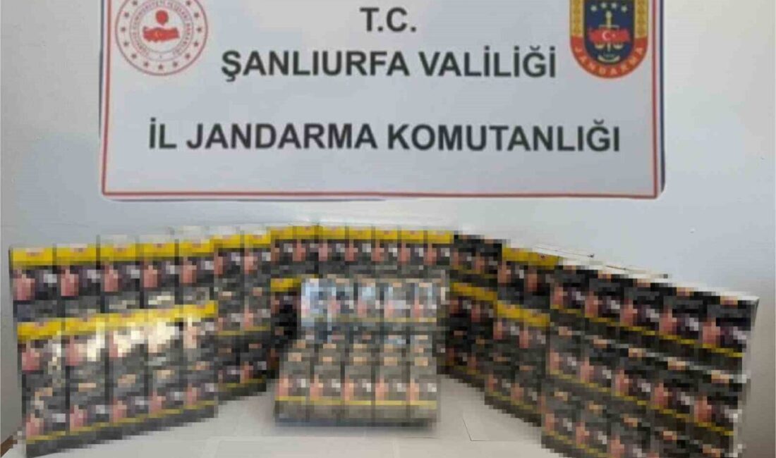 Şanlıurfa’da jandarma tarafından gerçekleştirilen operasyonda 2 bin 130 paket gümrük