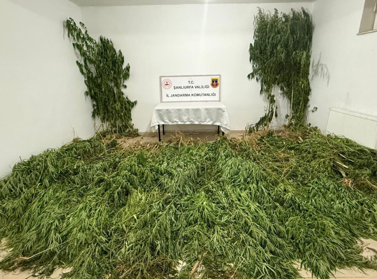 Şanlıurfa’nın Birecik ilçesinde gerçekleştirilen çalışmada 2 kilo 525 gram kubar