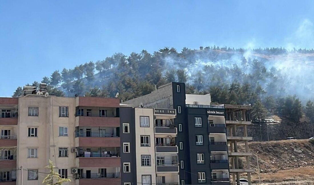 Şanlıurfa’da ağaçlık alanda çıkan yangın, itfaiye ekiplerince kontrol altına alındı.