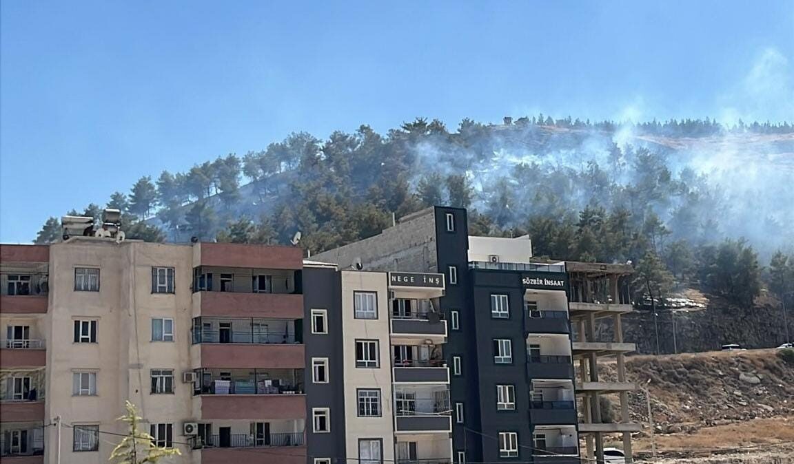 Şanlıurfa’da ağaçlık alanda çıkan yangın, itfaiye ekiplerince kontrol altına alındı.