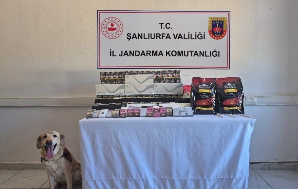 Şanlıurfa’nın Viranşehir ilçesinde jandarma tarafından gerçekleştirilen şok yol uygulamasında çok