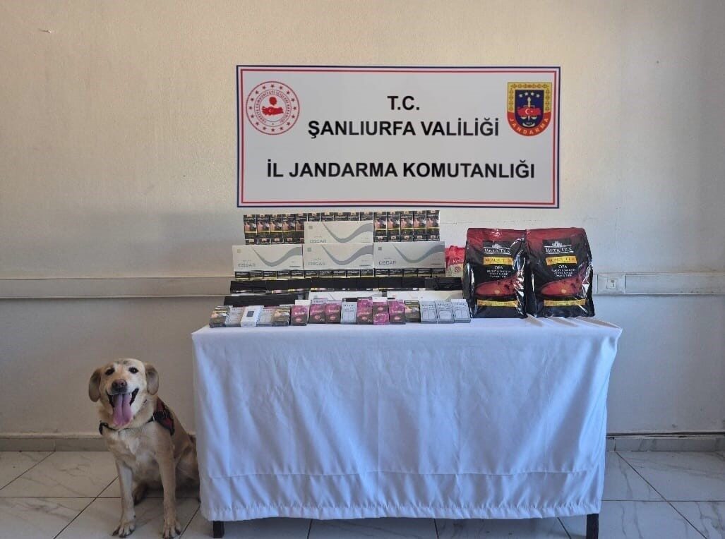 Şanlıurfa’nın Viranşehir ilçesinde jandarma tarafından gerçekleştirilen şok yol uygulamasında çok