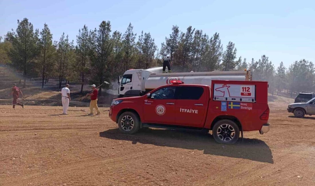 Şanlıurfa’da ormanlık alanda çıkan yangın, itfaiye ekipleri tarafından söndürüldü. Edinilen
