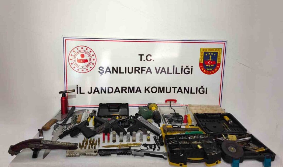 Şanlıurfa’da jandarma tarafından düzenlenen operasyonunda aralarında aslan kafası motifli eski