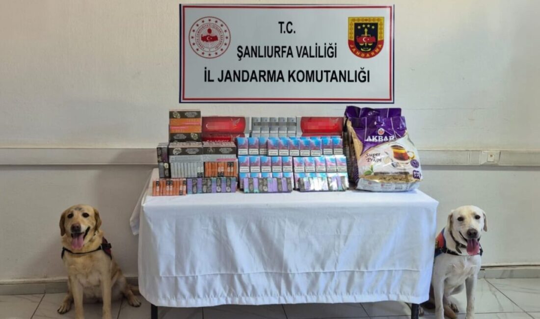 Şanlıurfa İl Jandarma Komutanlığı ekiplerince tütün ve alkol kaçakçılarına yönelik