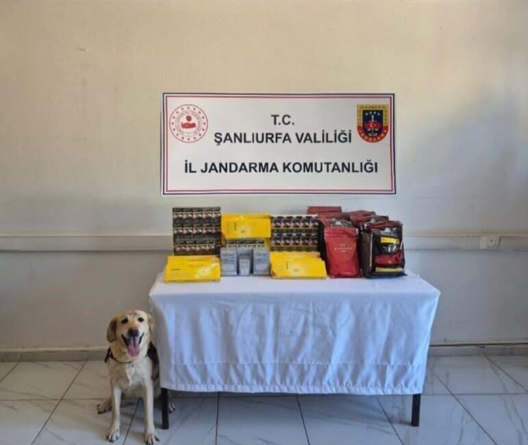 Şanlıurfa’da jandarma ekipleri tarafından gerçekleştirilen uyuşturucu operasyonunda 6 zanlı gözaltına