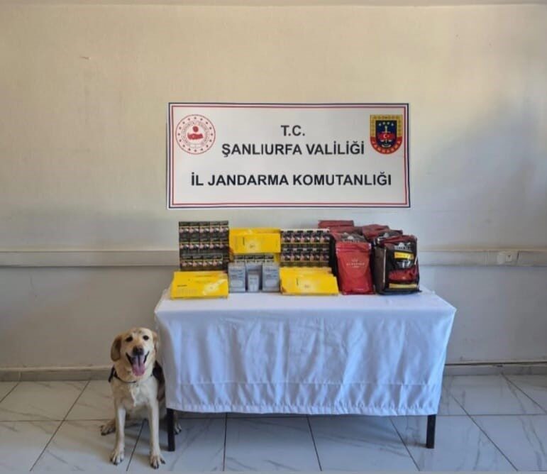 Şanlıurfa’da jandarma ekipleri tarafından gerçekleştirilen uyuşturucu operasyonunda 6 zanlı gözaltına