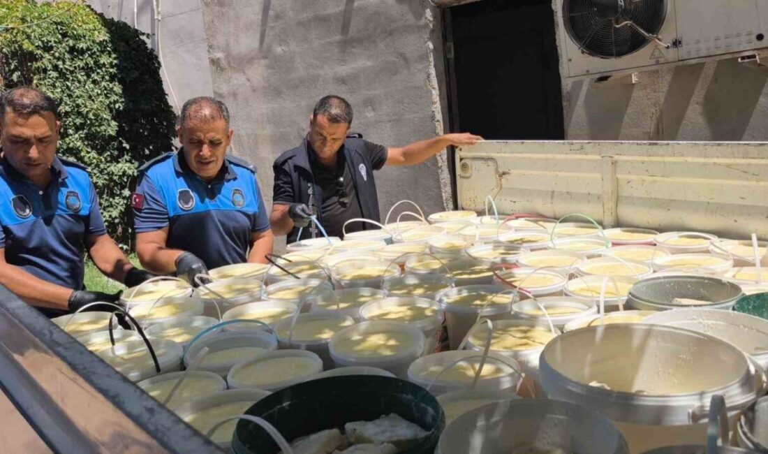 Şanlıurfa’da denetim gerçekleştiren zabıta ekipleri, bir süt ürünleri imalathanesinde düzenledikleri