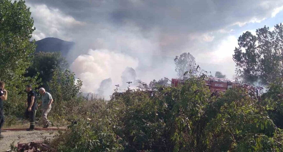 Kocaeli’nin Kartepe ilçesinde sazlık alanda çıkan yangın, ekiplerin yaklaşık 1
