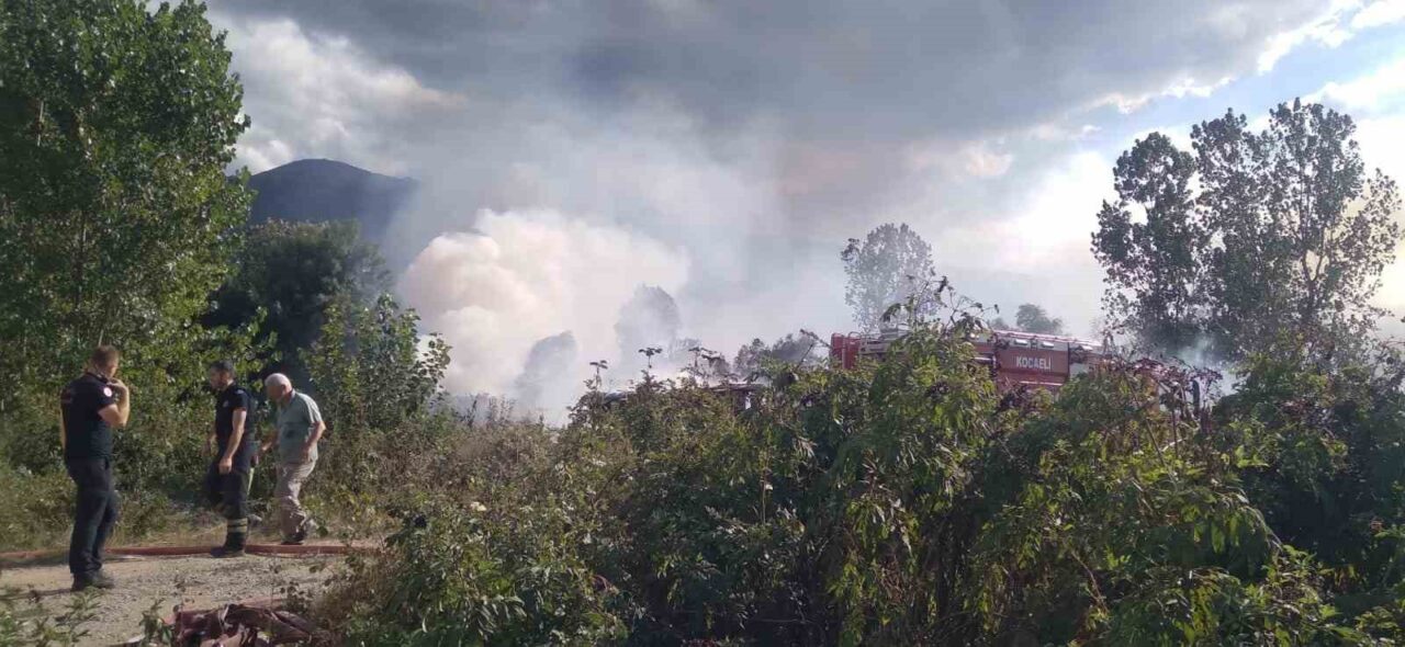 Kocaeli’nin Kartepe ilçesinde sazlık alanda çıkan yangın, ekiplerin yaklaşık 1
