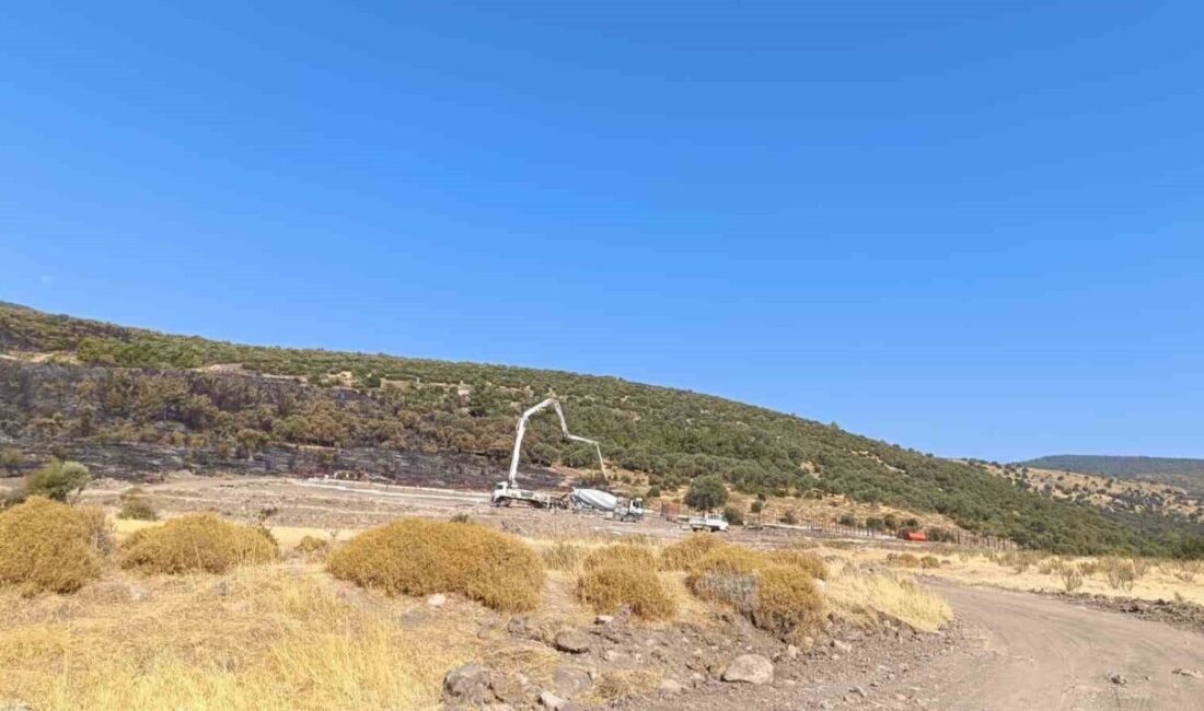 MANİSA (İHA) – Manisa’nın Şehzadeler ilçesi Sarıalan Mahallesi’nde 11 Ağustos’ta