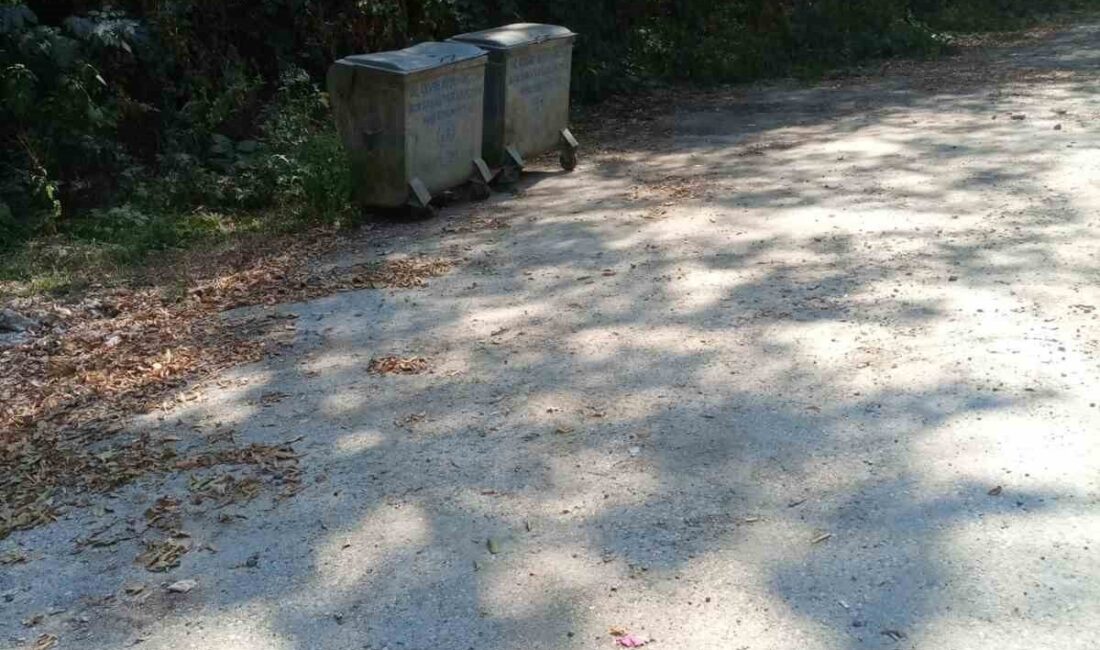 Türkiye’nin en büyük blok ormanlarını barındıran ve doğal güzellikleriyle öne