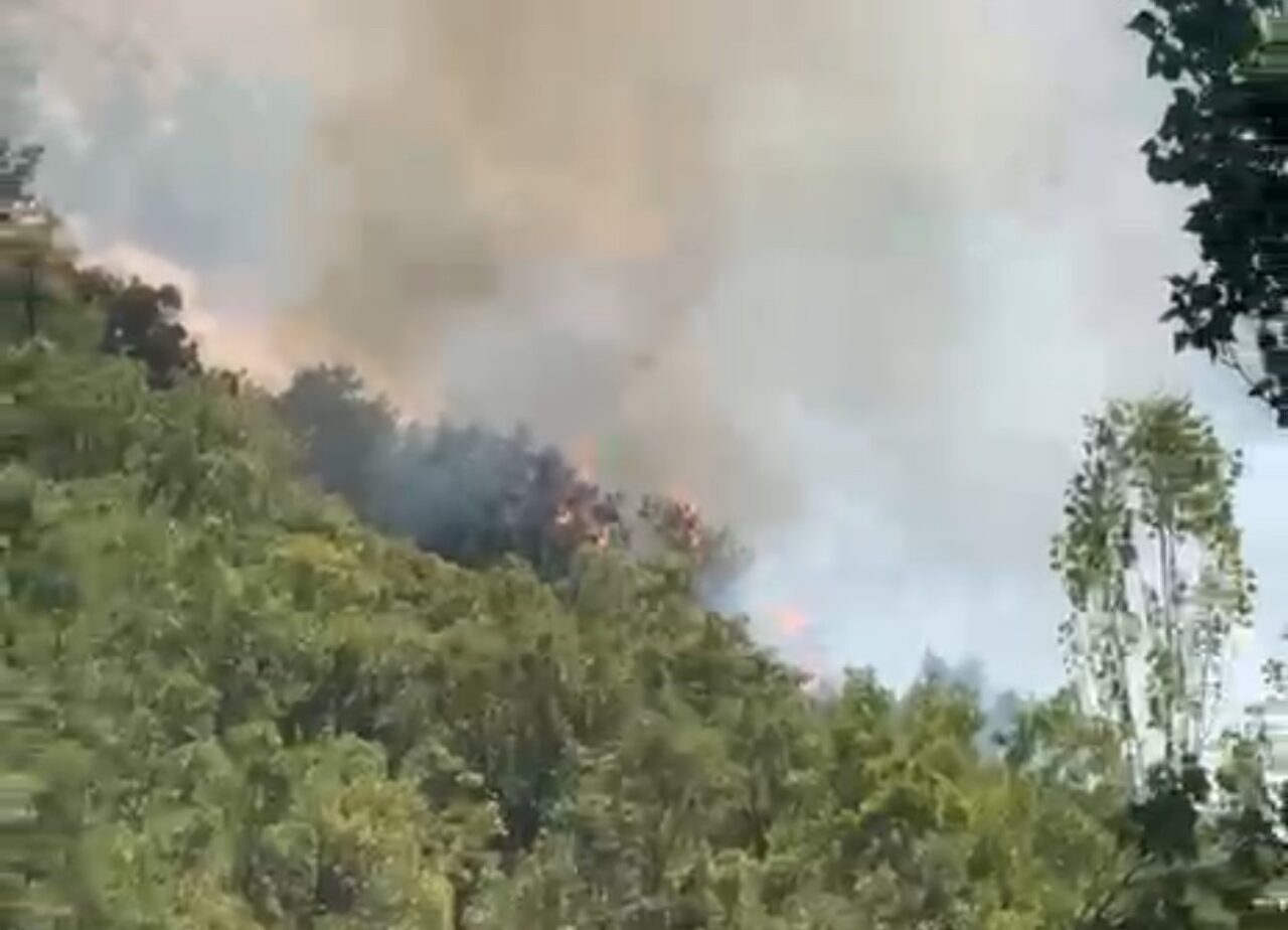 Hakkari Şemdinli ilçesine bağlı Alan köyünde henüz bilinmeyen bir sebeple