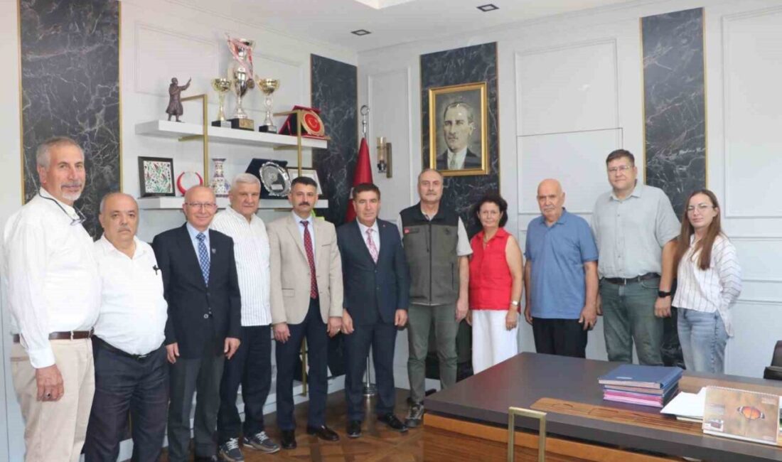 Seyitgazi ilçesinde yanan ormanların yerine, hazırlanacak projeler ve yapılacak çalışmalar