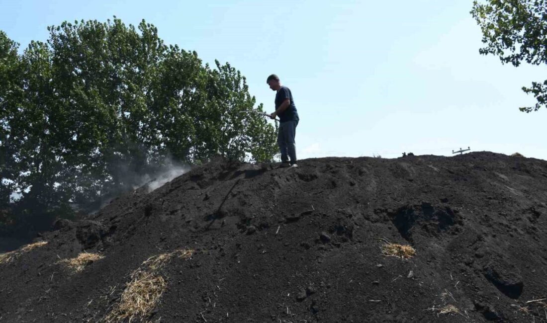Mersin’in Tarsus ilçesinde hava sıcaklıklarının 40 dereceyi aştığı bu günlerde