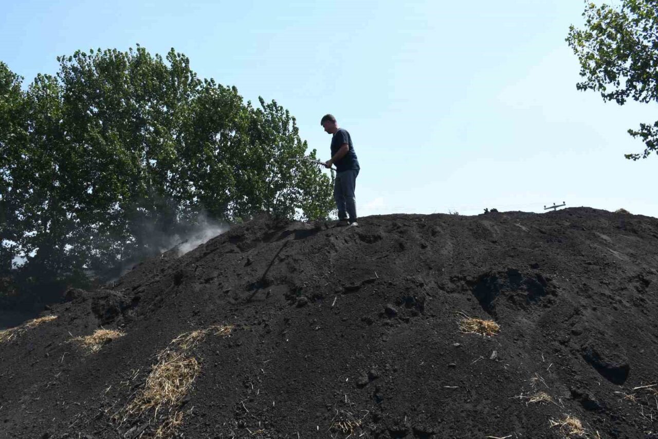 Mersin’in Tarsus ilçesinde hava sıcaklıklarının 40 dereceyi aştığı bu günlerde