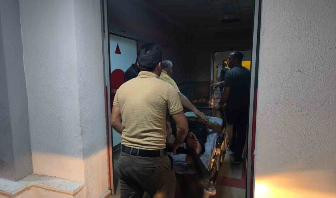 Siirt’in Kurtalan ilçesinde ağaçtan düşen şahıs yaralandı. Edinilen bilgilere göre,