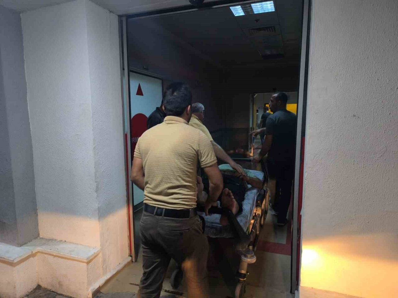 Siirt’in Kurtalan ilçesinde ağaçtan düşen şahıs yaralandı. Edinilen bilgilere göre,