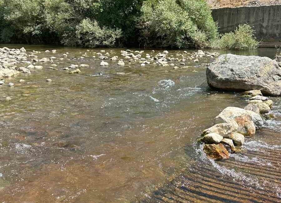 Siirt Belediyesi Su ve Kanalizasyon İşleri Müdürlüğü (SİSKİ) ekipleri, kent