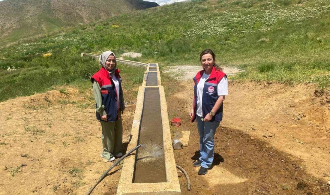 Siirt’in Pervari ilçesine bağlı Gökbudak köyünde, hayvancılığın geliştirilmesi ve mera