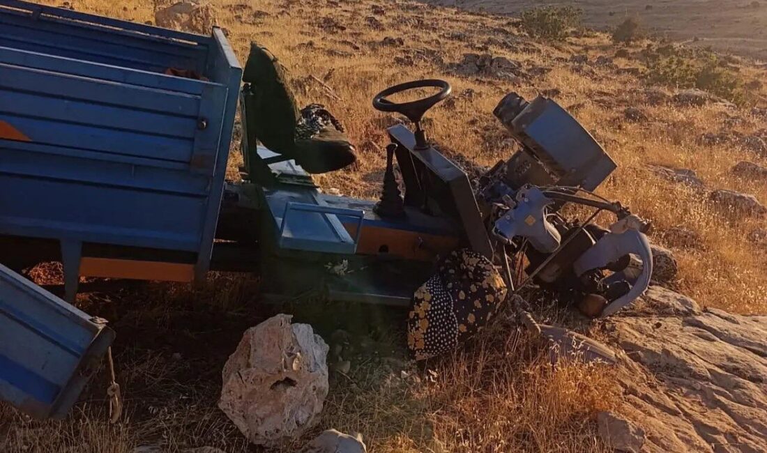 Siirt’in Tillo ilçesine bağlı Taşbalta köyü yolunda tarım aracı olarak