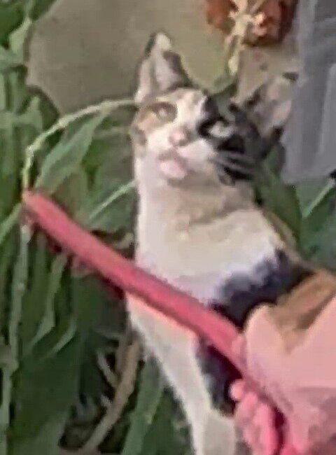 Siirt Eğitim ve Araştırma Hastanesi’nde görevli güvenlik görevlisi, aşırı sıcaktan