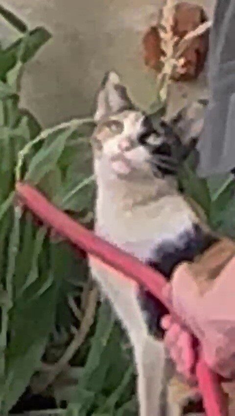 Siirt Eğitim ve Araştırma Hastanesi’nde görevli güvenlik görevlisi, aşırı sıcaktan