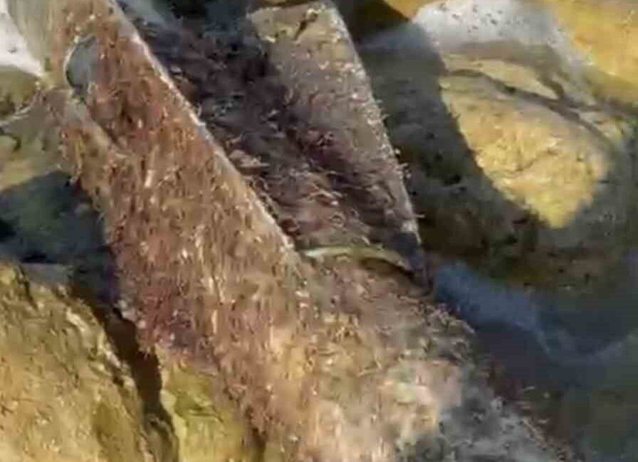 Şile’de deniz kenarında sahile vurmuş şekilde roket başlığı olduğu değerlendirilen