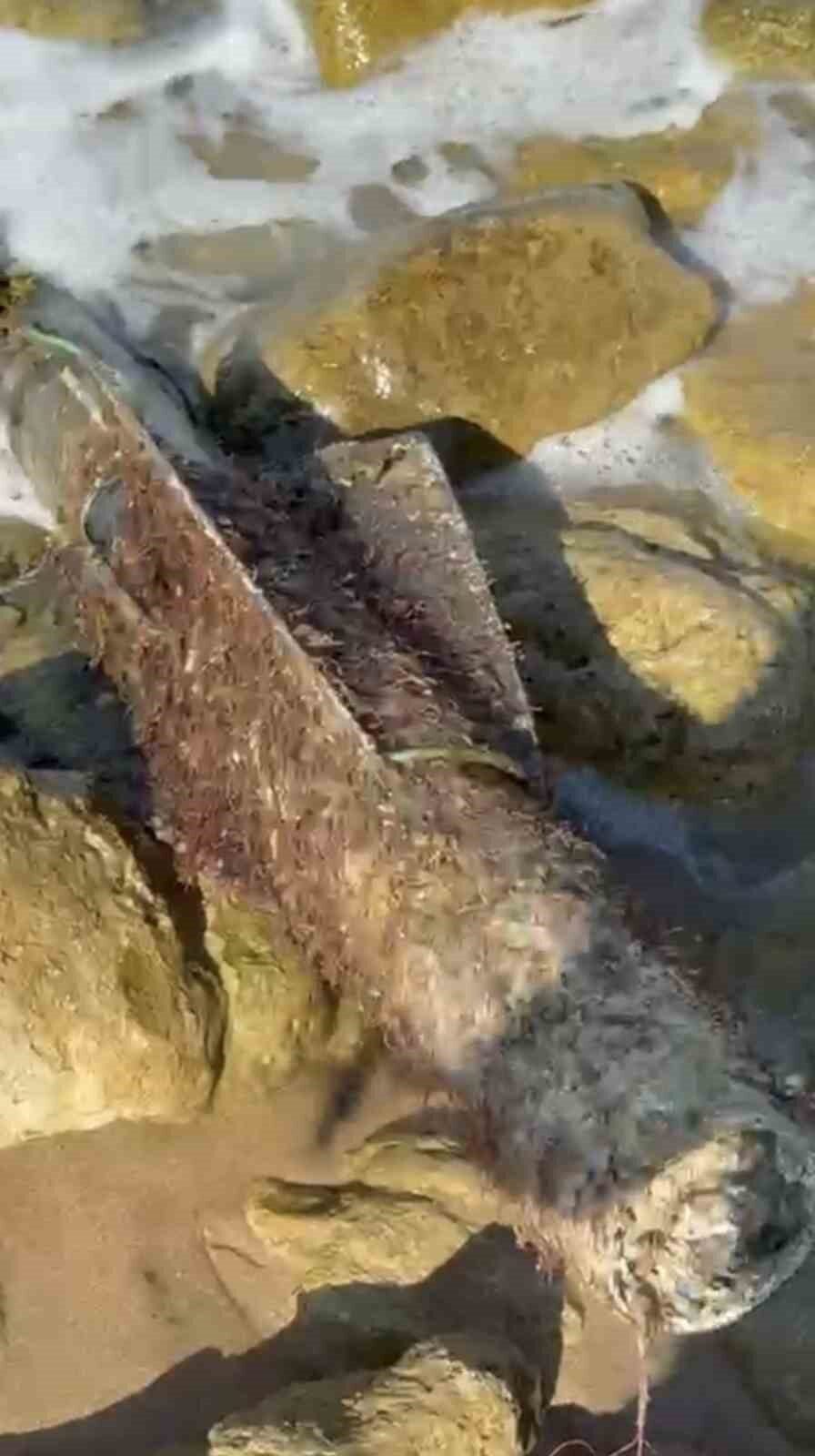 Şile’de deniz kenarında sahile vurmuş şekilde roket başlığı olduğu değerlendirilen