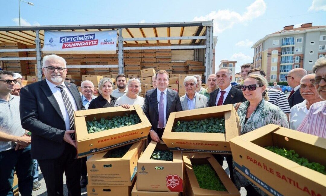 Silivri’de Yeni Mahalle pazar ve etkinlik alanında Kışlık Sebze Fidesi