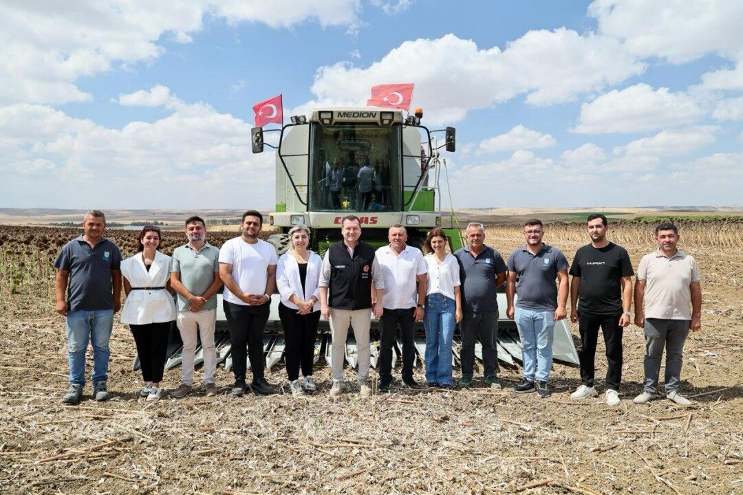 Silivri Belediyesi, yaklaşık bin 500 dekar alanda gerçekleştirilen ayçiçeği hasadına