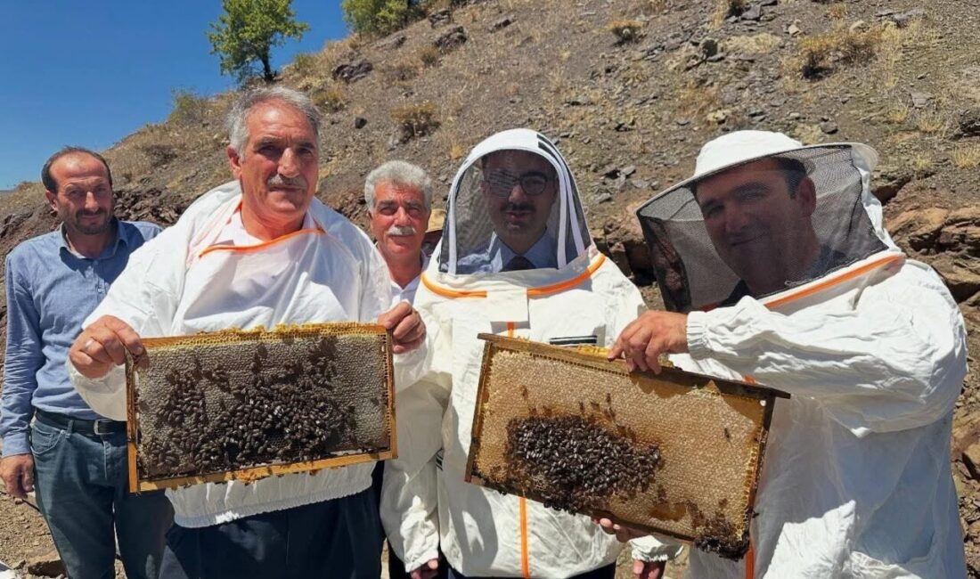 Adıyaman’ın Sincik ilçesinde yüksek rakımlı yaylalarda organik yöntemlerle üretilen balların