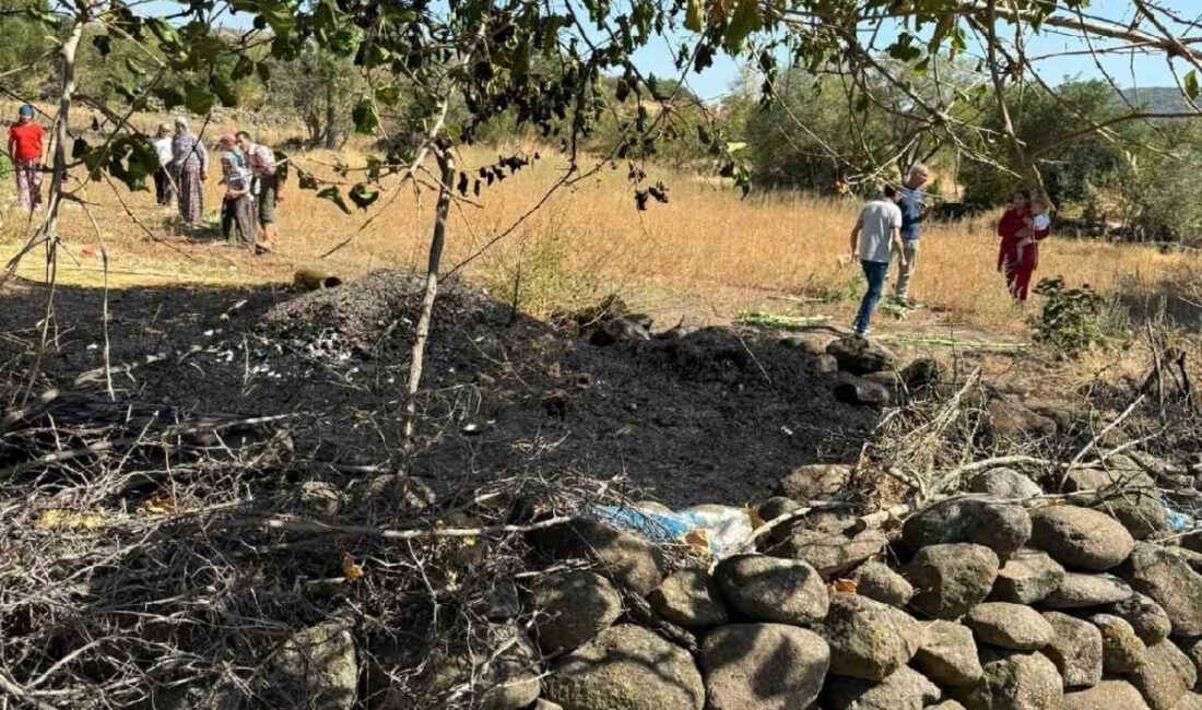 Balıkesir’in Sındırgı ilçesine bağlı Çakıllı Mahallesi’nde çıkan ot yangını, tarlada