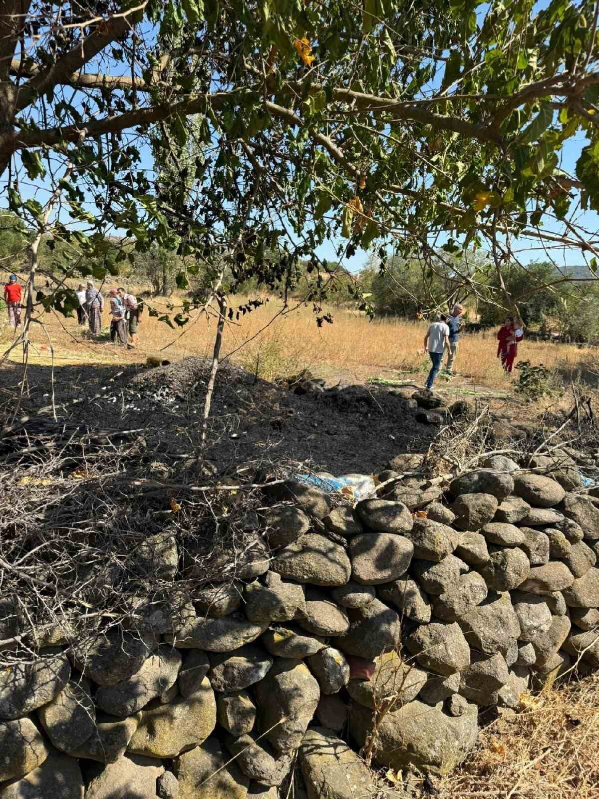 Balıkesir’in Sındırgı ilçesine bağlı Çakıllı Mahallesi’nde çıkan ot yangını, tarlada