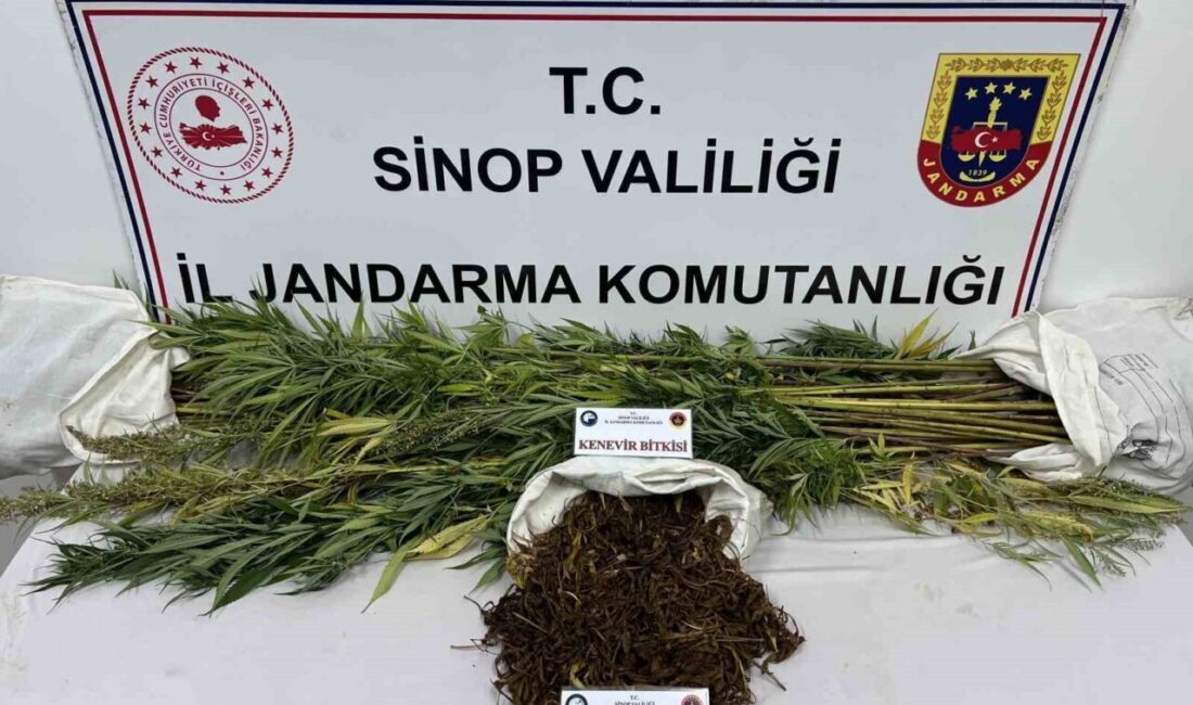 Sinop’ta jandarma ekiplerince uyuşturucu satıcılarına yönelik düzenlenen operasyonda 425 gram