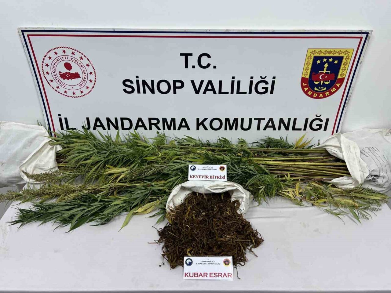 Sinop’ta jandarma ekiplerince uyuşturucu satıcılarına yönelik düzenlenen operasyonda 425 gram