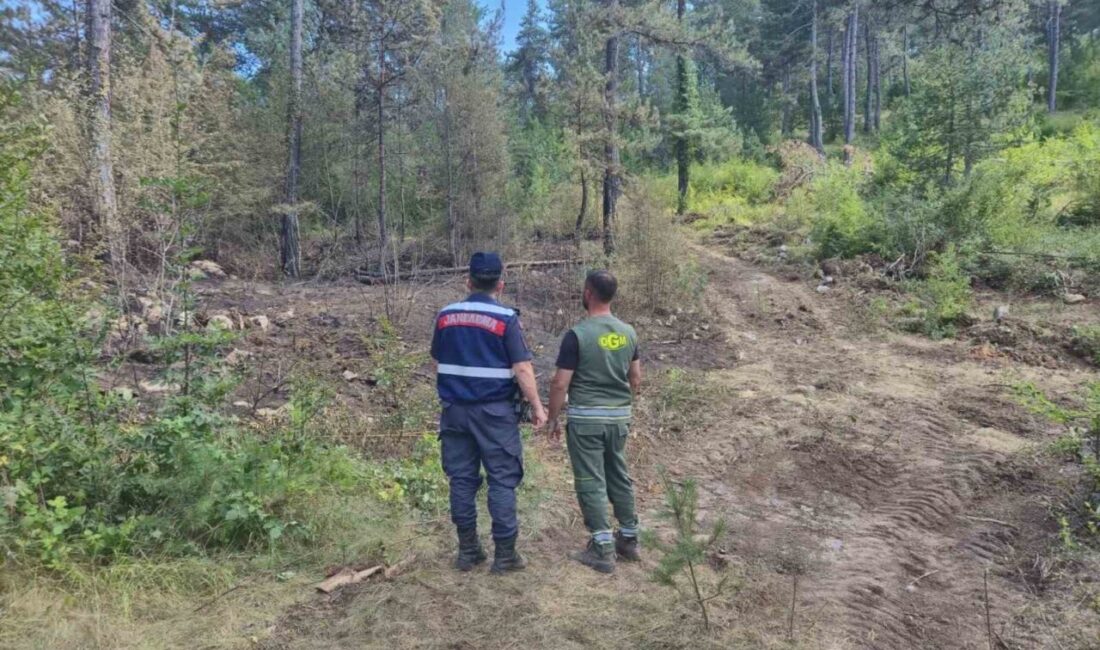 Sinop’un Durağan ilçesinde jandarma ekipleri, yaz aylarında artan sıcaklık ve