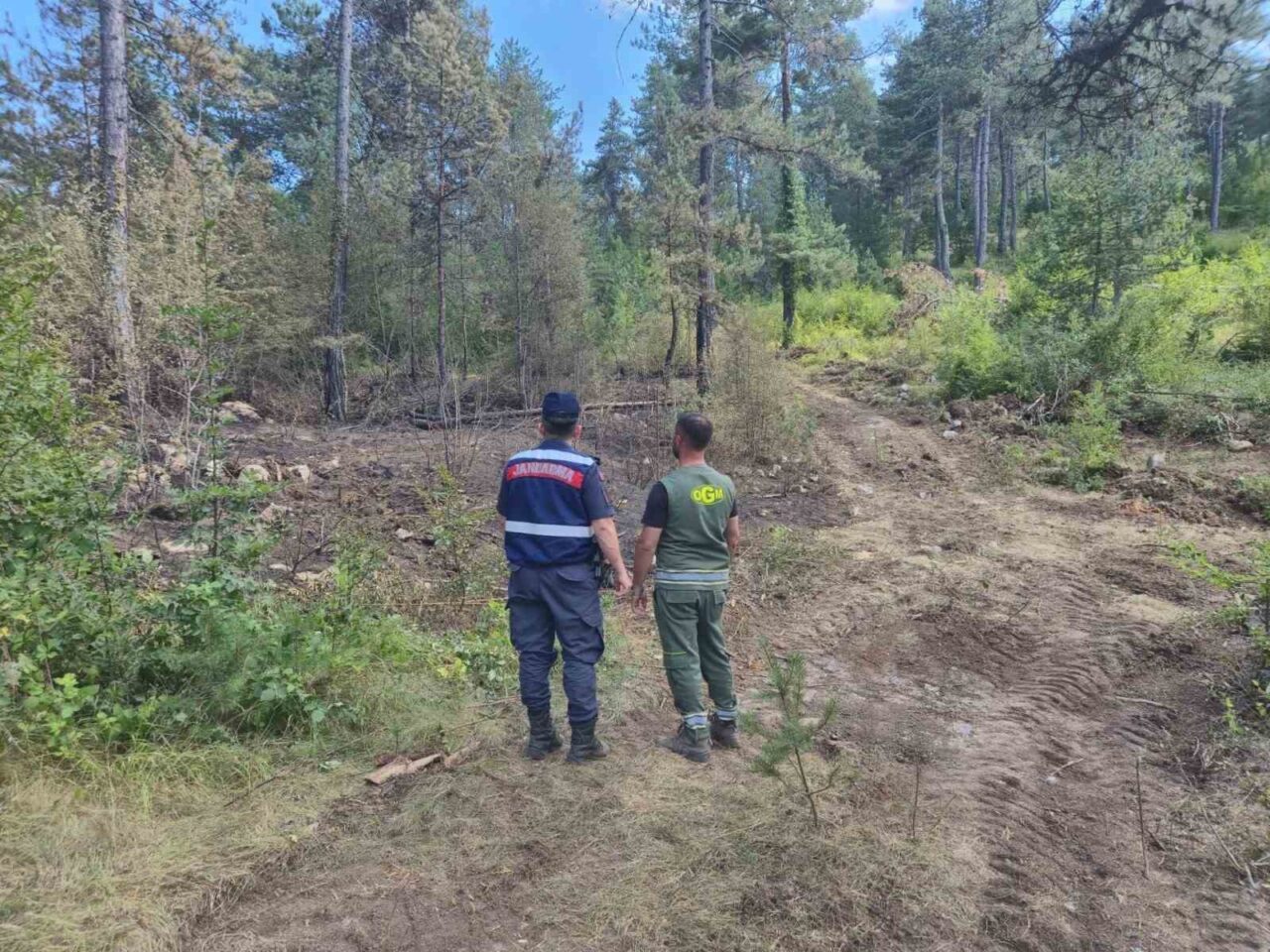 Sinop’un Durağan ilçesinde jandarma ekipleri, yaz aylarında artan sıcaklık ve