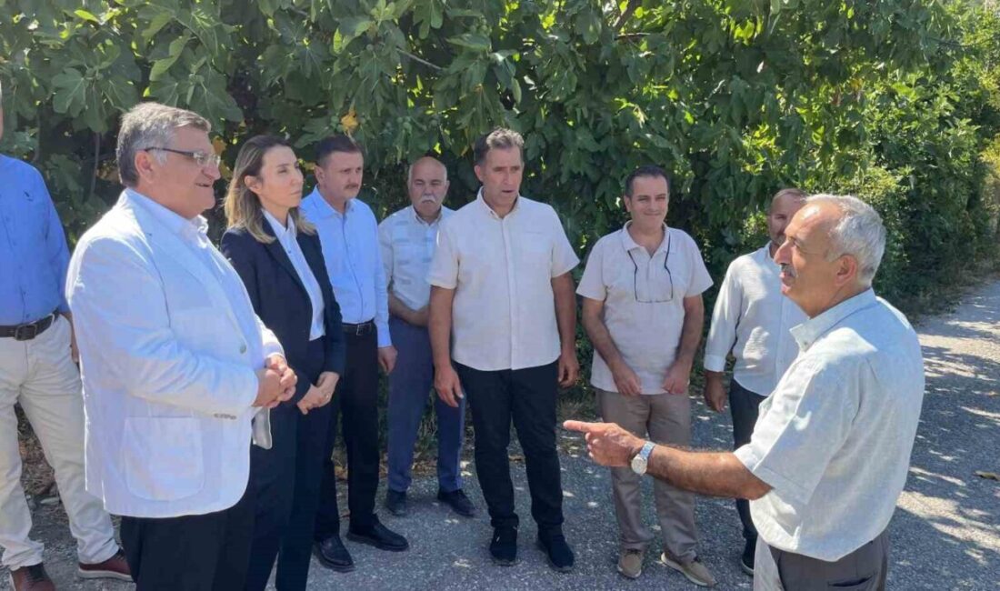 Sinop’un Gerze ilçesine bağlı Hızarçayı köyünde başlatılan çalışma kapsamında 60