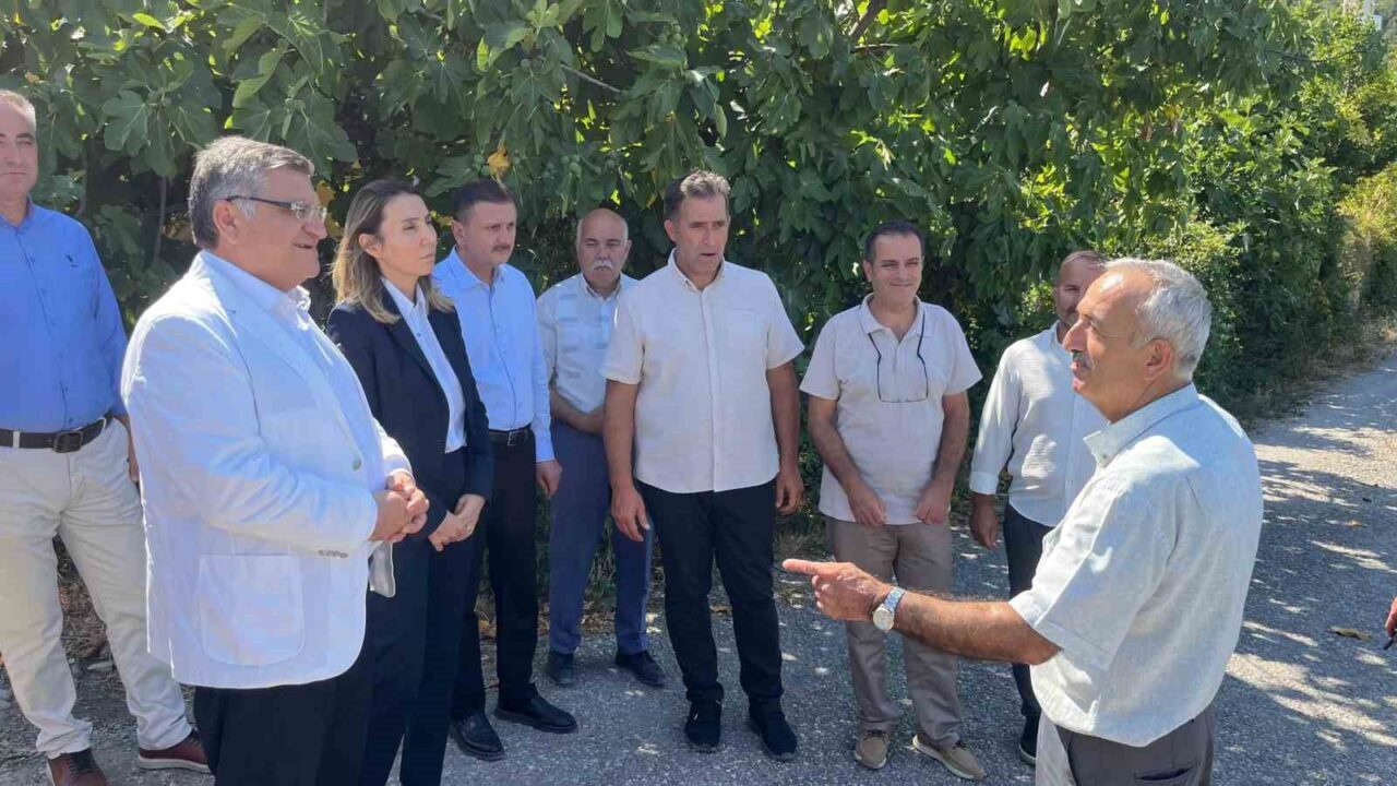 Sinop’un Gerze ilçesine bağlı Hızarçayı köyünde başlatılan çalışma kapsamında 60