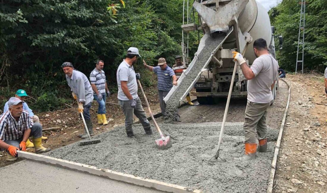 Sinop’un Ayancık ilçesine bağlı Yenigüler köyü sakinleri, yıllardır çözüm bulamadıkları