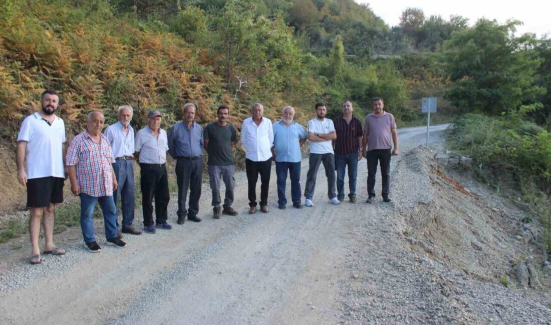 Sinop’un Türkeli ilçesine bağlı Taşgüney köyüne ulaşım sağlayan yol, 2021