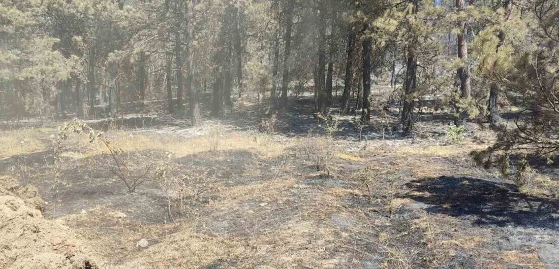 Sinop’un Durağan ilçesi Köklen köyü yakınlarındaki ormanlık alanda çıkan yangında