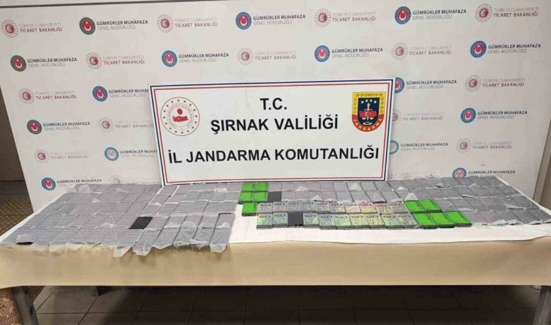 Şırnak’ta jandarma personelinin gerçekleştirdiği faaliyetler sonucunda 8 milyon 331 bin