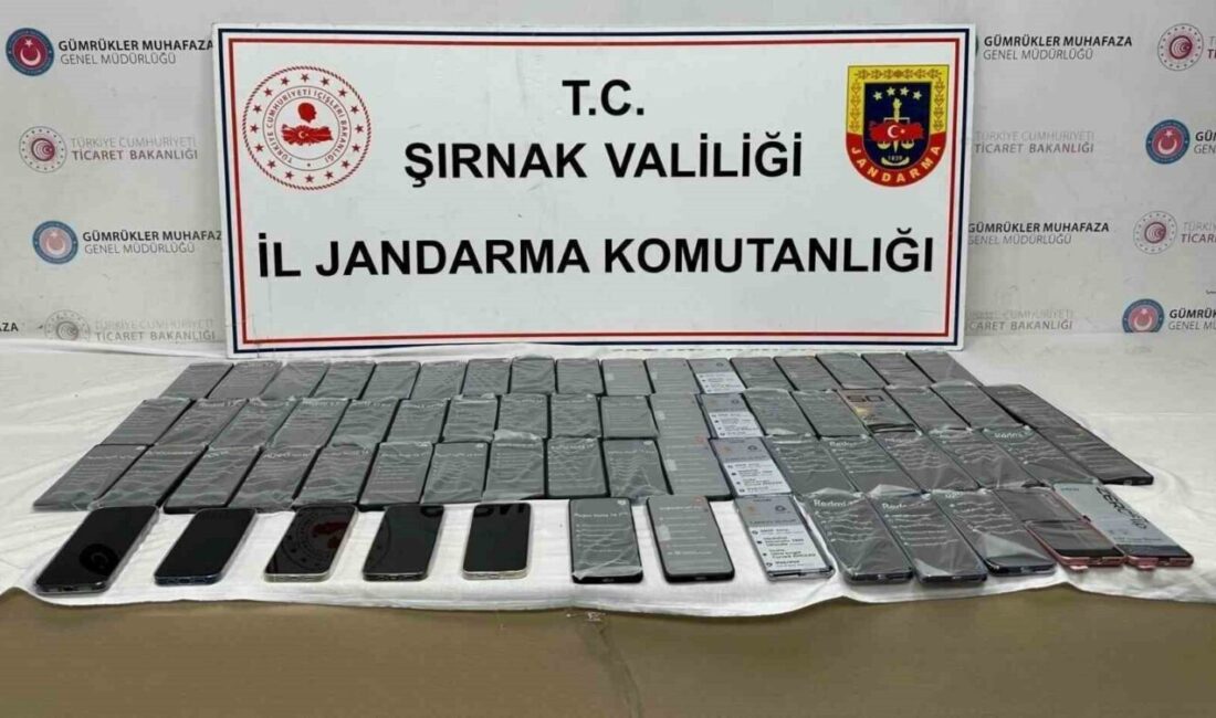 Şırnak İl Jandarma Komutanlığı ekipleri tarafından gerçekleştirilen 32 ayrı kaçakçılık