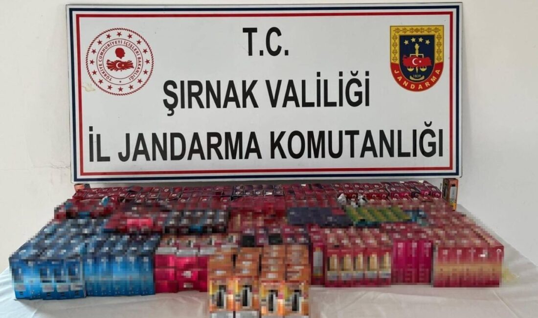 Şırnak’ta İl Jandarma Komutanlığı ekipleri tarafından gerçekleştirilen 35 ayrı kaçakçılık,